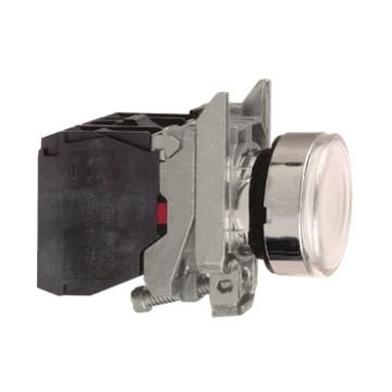 Yaylı Dönüşlü Beyaz Işıklı Buton  22mm 250V 1NA+1NK Schneider XB4BW3165
