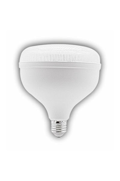 Beyaz Tourch Led Ampul 65W E27 6400K Cata CT-4165