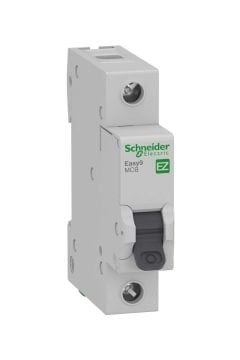 C Egrısı Otomat  EASY9 1P 10A, 4,5KA Schneider EZ9F34110